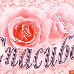 ���� Zayir, ������, 35 ��� - ��������� 8 ������ 2018