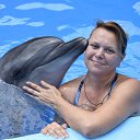 ���� �������, ����������� - ��������� 28 ������ 2018 � ������ ���� ����������