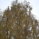 ���� �����, ������ �������� - ��������� 17 ������� 2018 � ������ ���� ����������