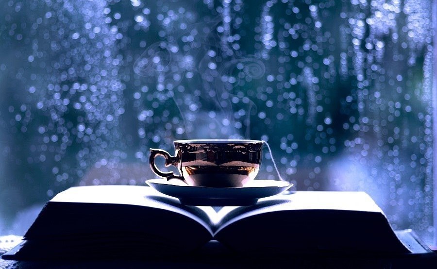 10 книг, которые легко прочитаются за ночь! Держать читателя в постоянном напряжении и при этом ...