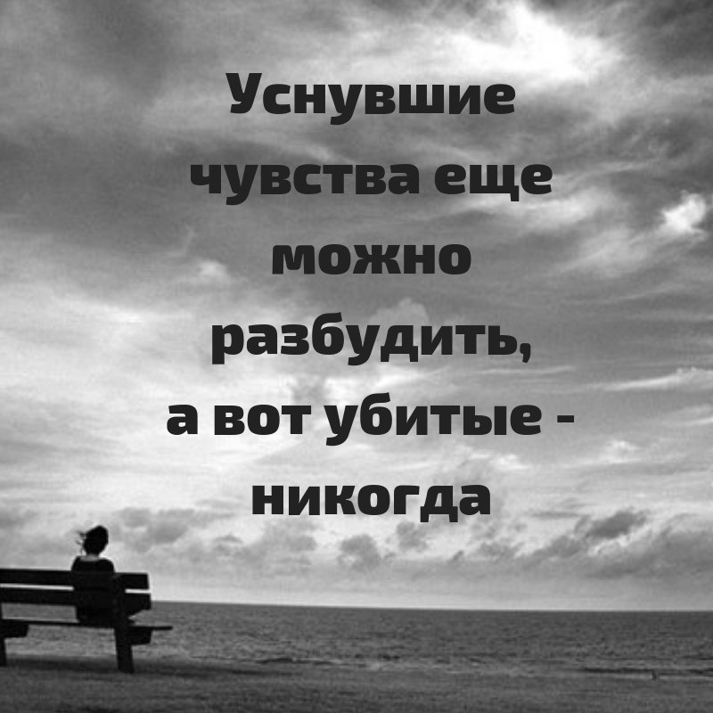 The Lady - 3 ������� 2018 � 16:48
