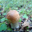 ���� �������, ������������ - ��������� 28 ������ 2018 � ������ �������