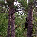 ���� ����, ������, 44 ���� - ��������� 25 ���� 2018 � ������ ���� ����������