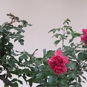 ���� ����������, �����-���������, 76 ��� - ��������� 21 ������ 2018 � ������ ���������. ���������� �������