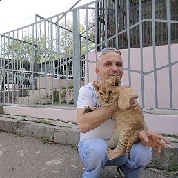 ���� ������, ������, 52 ���� - ��������� 18 ������� 2018