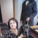 ���� �����, ������������, 43 ���� - ��������� 14 ���� 2018 � ������ ���� ����������