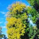���� �, ���� - ��������� 12 ������� 2018 � ������ ���� ����������