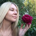 ���� ����, �������, 42 ���� - ��������� 22 ���� 2018 � ������ ���� ����������