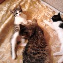 ���� �����, ���� - ��������� 21 ������� 2018 � ������ ������ ��������