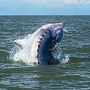 ���� Sergei, ������, 65 ��� - ��������� 15 ������� 2018 � ������ ���� ����������