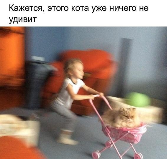 ����� �������� - 9 ������� 2018 � 16:49