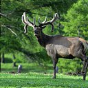  , -, 64  -  9  2019   - 