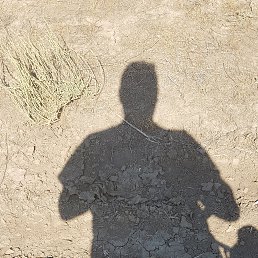 ����, ���������, 47 ���