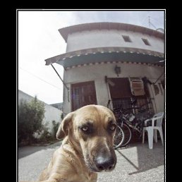 Paul, ������, 101 ���