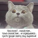���� ����, ������ - ��������� 5 ������� 2018 � ������ ������ ��������