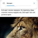 ���� �����, ������, 48 ��� - ��������� 22 ������� 2018