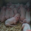 ���� ������, ���������-�������������, 59 ��� - ��������� 31 ������� 2018 � ������ ���� ����������