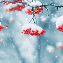  ++, , 55  -  3  2019    