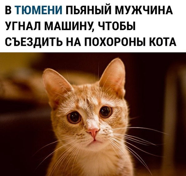 ~**~ - 14  2018  18:47