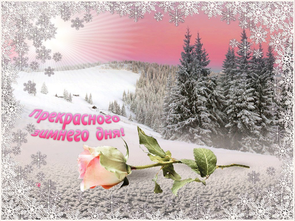 Пожелание нового зимнего дня. Открытка зимняя. Прекрасного зимнего дня. Доброго зимнего дня. Хорошего зимнего дня и отличного настроения.