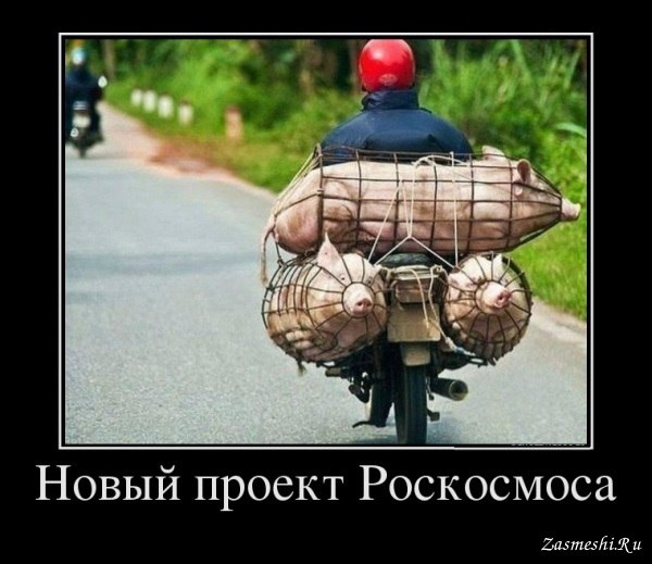 ��� ������ ��� - 22 ������� 2019 � 23:25