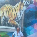 ���� ���������, ������, 63 ���� - ��������� 31 ���� 2018 � ������ ���� ����������