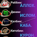 ���� �������, ������, 40 ��� - ��������� 25 ������� 2019 � ������ ���� ����������