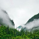 ���� ������, ���������, 56 ��� - ��������� 8 ������� 2018 � ������ ���� ����������