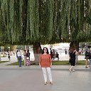 ���� �������, ���������, 69 ��� - ��������� 9 ������� 2018 � ������ ���� ����������