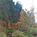  Deus Deorum, - -  18  2018    