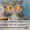 ���� ������, ���������, 49 ��� - ��������� 1 ������ 2018 � ������ ������ ��������