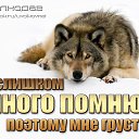 ���� ������, ����������� - ��������� 29 ������� 2018 � ������ ���� ����������