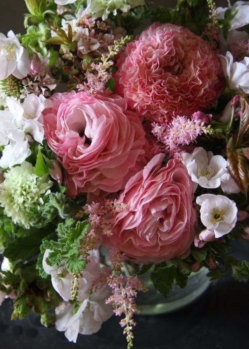  ))).   -   ... ,    -, ... - 6