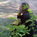 ���� Orion, �����-��������� - ��������� 20 ������� 2018 � ������ ������ ��������