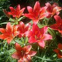 ���� ���� �����������, ������, 49 ��� - ��������� 23 ������� 2018 � ������ ���� ����������