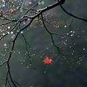 ���� �����, ���������� �����, 60 ��� - ��������� 10 ������ 2018 � ������ ������ ��������