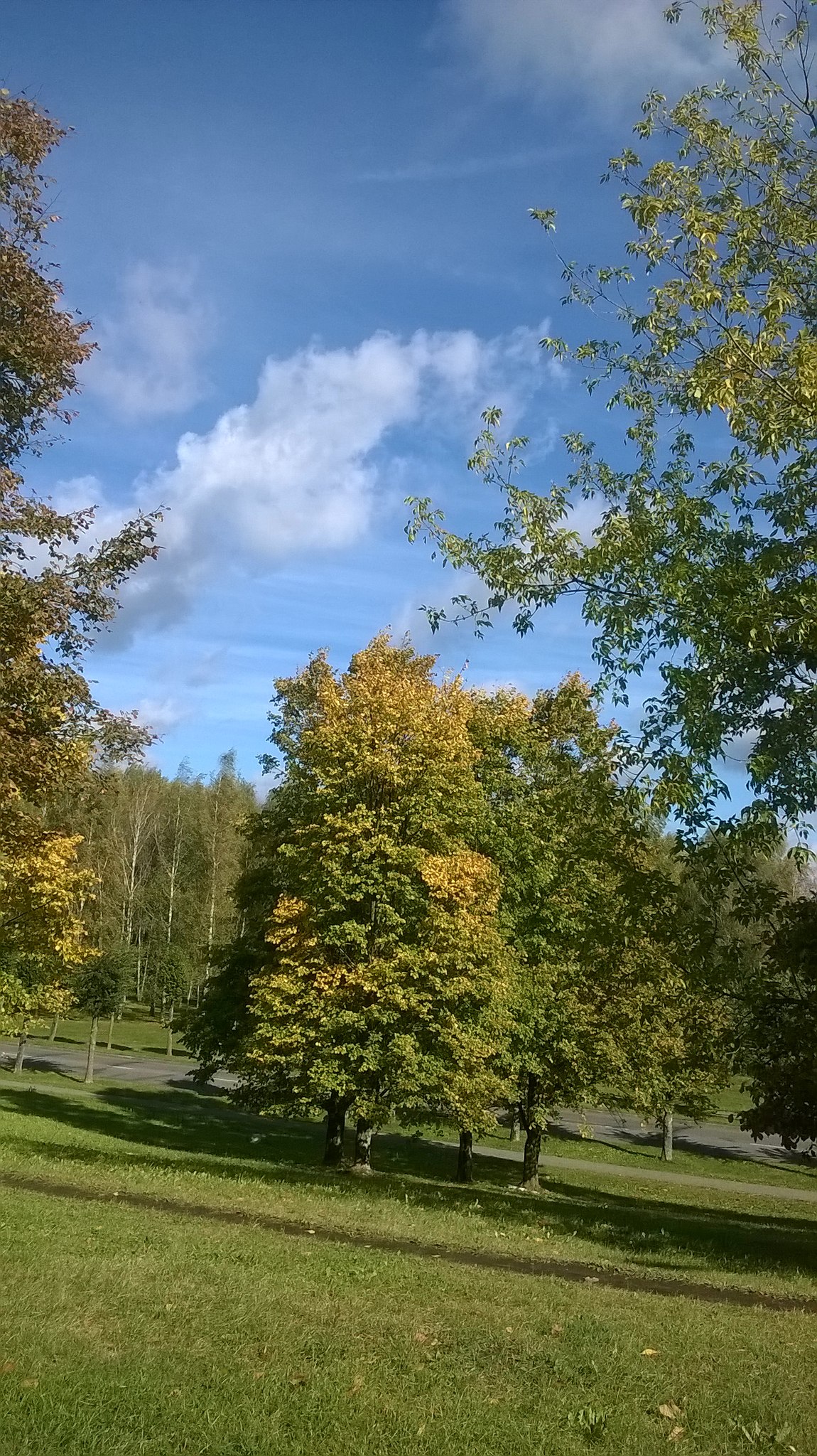    .... 30.09.2018