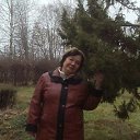   ,  , , 65  -  9  2018    