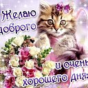  Flora, , 57  -  16  2018    