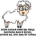  ,  -  9  2018   