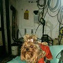 ���� �����, �������, 47 ��� - ��������� 11 ������� 2019 � ������ ���� ����������