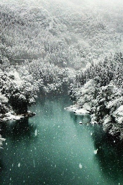 ������� � �����, ������