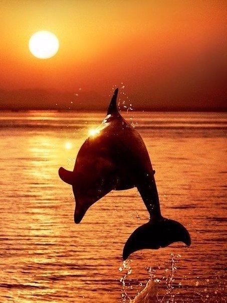 LIFE -  - 30  2018  16:30 - 5