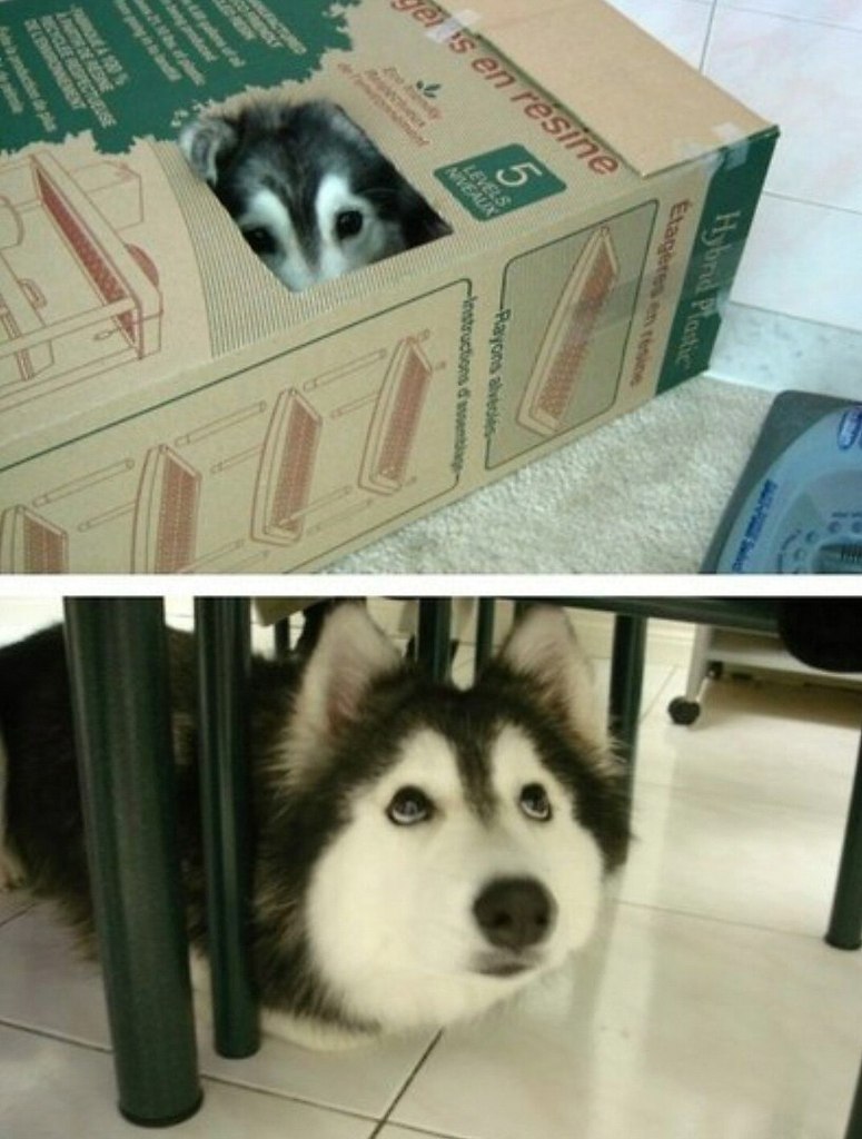 �����, ������� ��� ������ � �������. � ������� �� ������, ��� �� ���. �� ���� �����, ������ ���� ��� ...