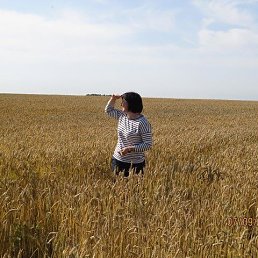 ���, �����������, 43 ����