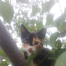 ���� �������, ������, 56 ��� - ��������� 29 �������� 2018