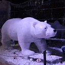 ���� �������, �����-���������, 68 ��� - ��������� 18 ������ 2019 � ������ ��������� �������