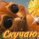 ���� �����, ������, 31 ��� - ��������� 4 ������� 2018