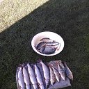 ���� ��������, ��������, 82 ���� - ��������� 24 ������� 2019 � ������ ���� ����������