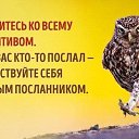 ���� ������, ������������, 53 ���� - ��������� 12 ������� 2019 � ������ ������ ��������